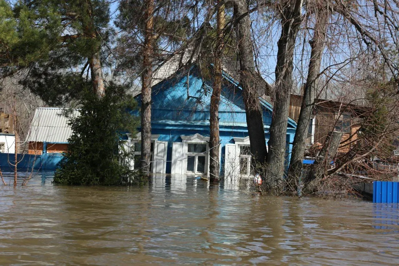 Число домов, подтопленных паводком в России, сократилось до 6 308